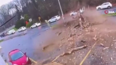 Dev ağaç aracın üzerine düştü!