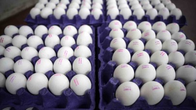 "Tüm Türkiye’ye yetecek kadar yumurtamız var"