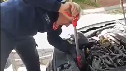 Yavru kedilerin imdadına Şanlıurfa itfaiyesi yetişti