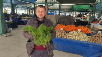 Kendiliğinden yetişen çaşır otu yok satıyor