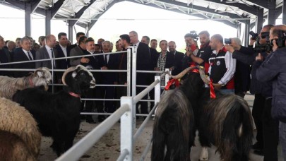 Kıran kırana kurban pazarlıklı pazar açılışı