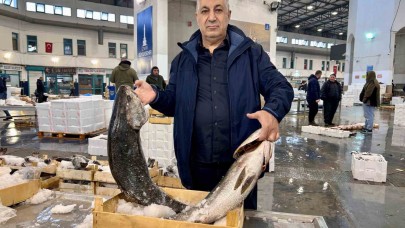 Egeli balıkçılar için sezon bereketli geçiyor
