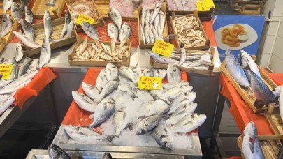 Yasak kapıda: Balıkçılar sezonun son siftahlarını yapıyor