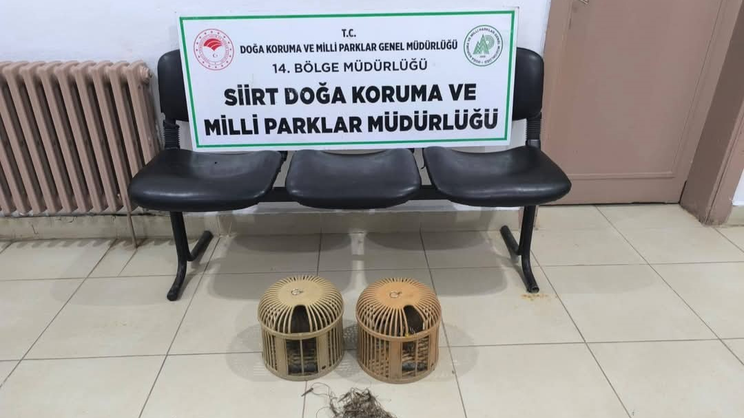 Keklik avına 111 bin 855 lira ceza