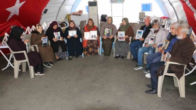 Diyarbakır anneleri eylemlerine Ankara’da devam etmeyi planlıyor
