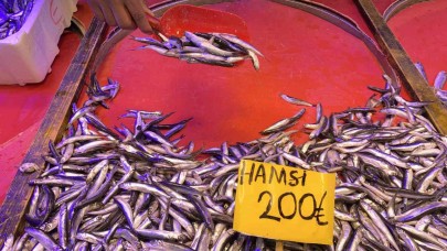 Balık sezonunun son gününde satışlar yoğunlaştı