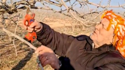 'Zirai don' Şanlıurfa fıstığına zarar verdi mi?