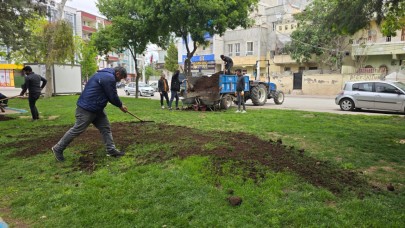 Eyyüpkent Parkları Yaza Hazır