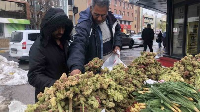 Yayla muzunun destesi 100 ila 300 TL’den satışta