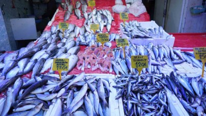 Soğuk havalar balıkçılara yaradı