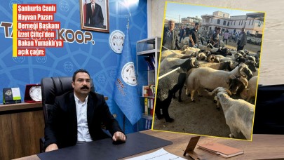 'Besicinin çığlığına ne zaman kulak vereceksiniz?'