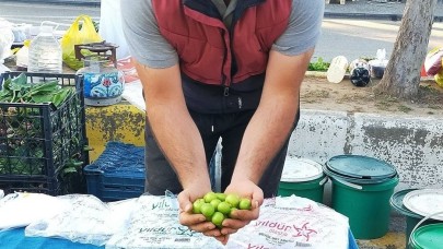 Vazgeçilmez yaz meyvesi erik tezgahlarda yerini aldı