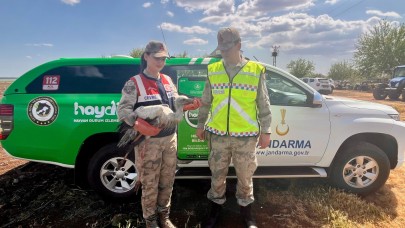 Haydi, Şanlıurfa'da yaralı halde buldu