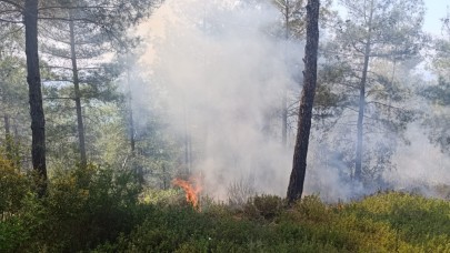 Orman Yangını Kontrol Altına Alındı