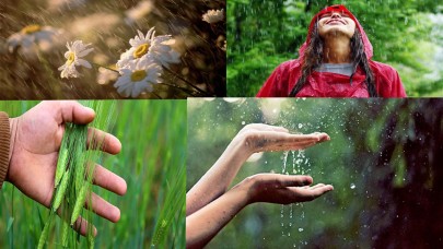 Doğanın Şifası Nisan Yağmurları Şanlıurfa’da Hayata Dokunuyor