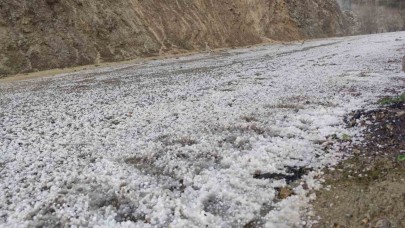 Adana’da Bahar Ortasında Beyaz Örtü