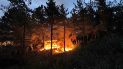 Baraka Alev Alev Yandı, Orman Son Anda Kurtarıldı