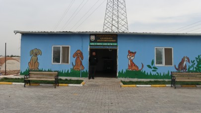 MİNİK ÖĞRENCİLERE ÇEVRE BİLİNCİ AŞILANDI