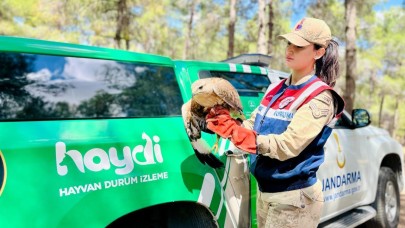 İmdadına Şanlıurfa HAYDİ ekibi yetişti
