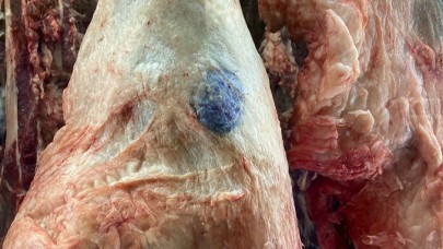 Şanlıurfa’da Sağlık İçin Önemli Adım: Denetimler Sonuç Verdi!