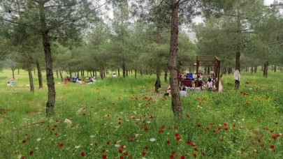 Tabiatın kalbi kozluk’ta atıyor