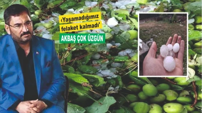Sadece bu yılın mahsulü değil...