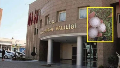 Valilik, 'Dolu'ya ilişkin rakam verdi