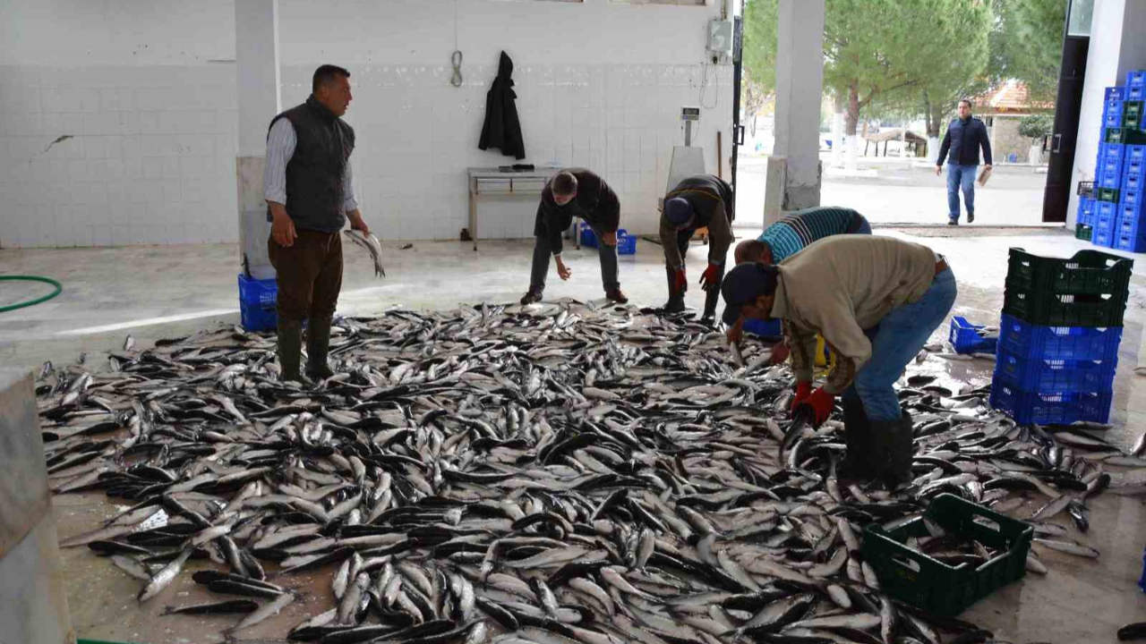 Nisan ayında Muğla’dan ülke ekonomisine 95,2 milyon dolarlık ihracat katkısı