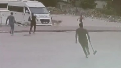 Adana’da Sokak Köpeklerinin Saldırısı Panik Yarattı