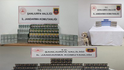 Şanlıurfa’da Kaçakçılara Geçit Yok