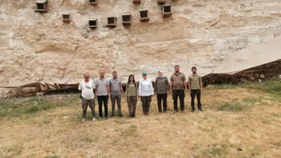 Kelaynaklara fileli koruma