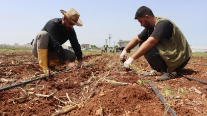 Şanlıurfa’da Tarımsal Mirası Koruma Projesi Başlatıldı