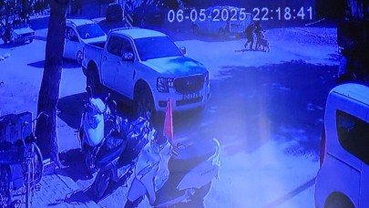 Evden kaçan köpek sokakta yürüyen kızlara saldırdı