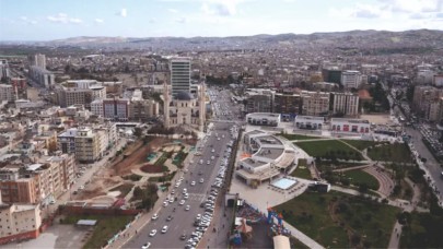 Şanlıurfa'da sayıları giderek artıyor
