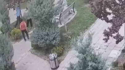Ağaçlara zarar veren bir grup genç, güvenlik kameralarına yakalandı