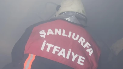 Şanlıurfa'da Yangın Büyümeden Söndürüldü