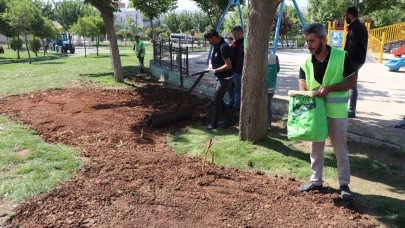 Şanlıurfa'da Park ve Bahçelere Bakım Atağı