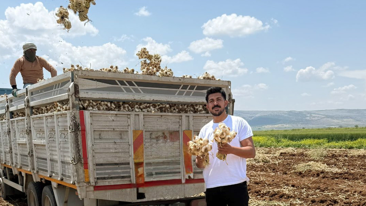 Babasının Sarımsak Tarlası İlham Oldu