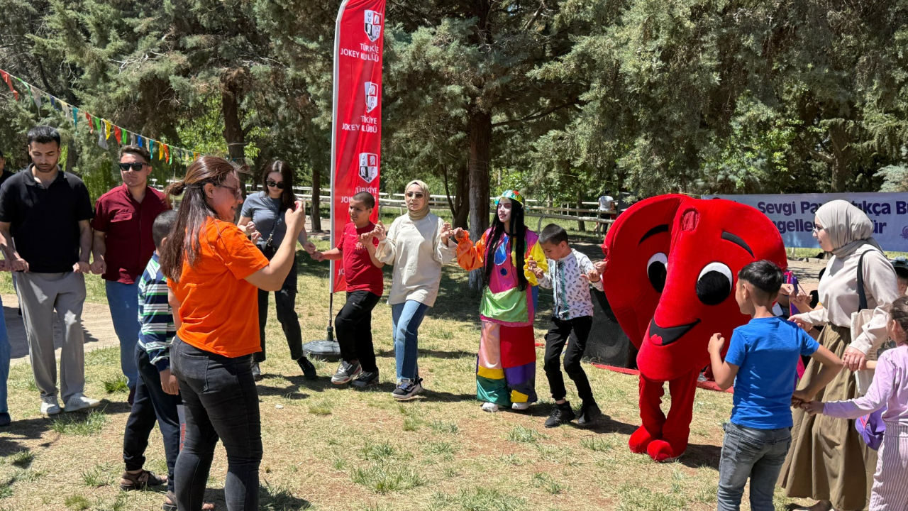 Atlar Şanlıurfa'da özel çocuklara terapi oluyor