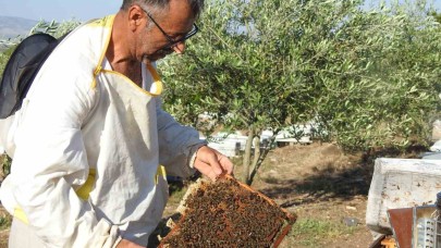 Doktorun annesine bal tavsiyesi hayatını değiştirdi