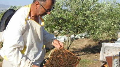 Doktorun annesine bal tavsiyesi hayatını değiştirdi