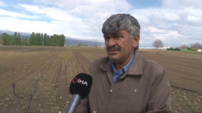 Yetersiz yağışlar sebze ve meyve fiyatlarını olumsuz etkiledi