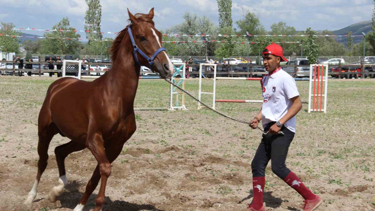 Atlar güzellikleriyle yarıştı