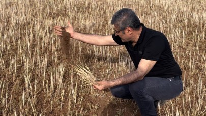 Zarar ciddi boyutta, acil destek şart!