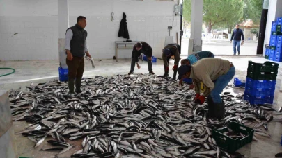Su ürünleri ihracatı 1 milyar dolara yaklaştı
