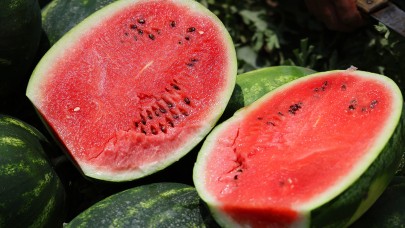 Tescilli Adana karpuzunda hasat başladı: Kilogramı 20-24 lira