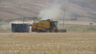 Hububat hasadı arpa ile başladı