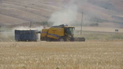 Hububat hasadı arpa ile başladı