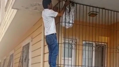 Çıplak elle yüzlerce arının arasına girdi