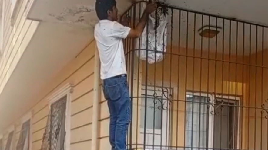 Çıplak elle yüzlerce arının arasına girdi